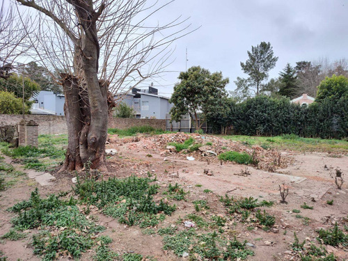 Imagen 6 de 13 de Terreno En Venta En Vicente Casares