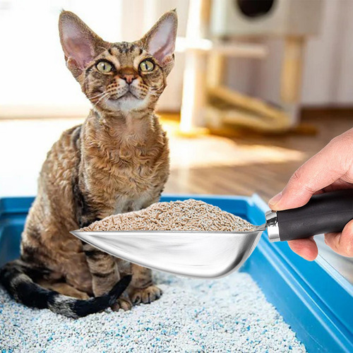 Colher Para Areia De Gato, Peneira De Metal Para Gatinhos,