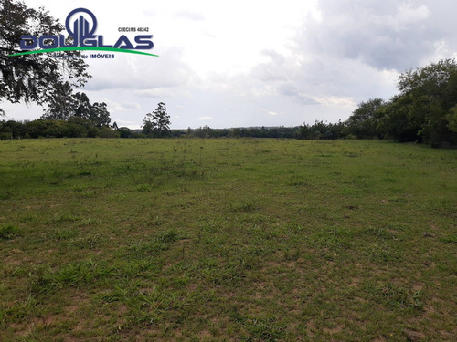 Lindo Sítio 2 Hectares Ótima Localização - 1535