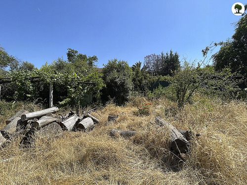 Sitio Para Proyecto Inmobiliario En La Reina