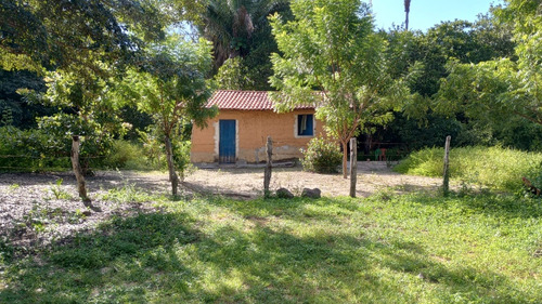Terreno Com Casa Pequena