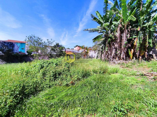 Imagem 16 de 19 de Área, Alto Ipiranga, Mogi Das Cruzes - R$ 5 Mi, Cod: 152001 - V152001