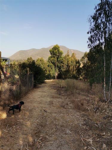 Parcela En Venta En Bosque De Mantagua Concon
