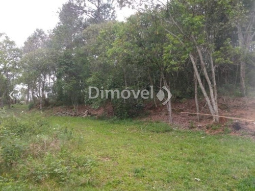 Imagem 2 de 13 de Sitio - Belem Velho - Ref: 21727 - V-21727