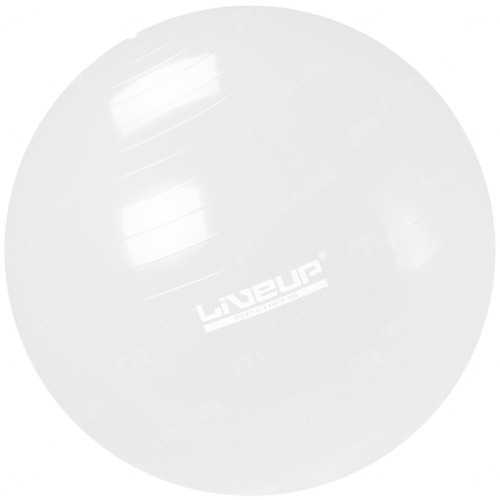 Bola de pilates Liveup Sports LS3221 T65 com inflador -