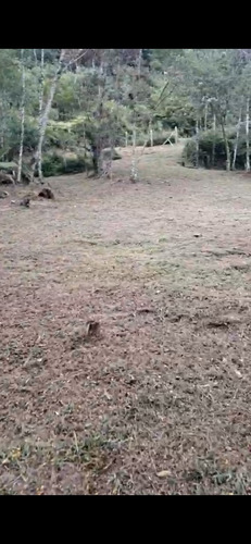 Vendo Um Sítio De 49.000 Metros Com Represa Dentro