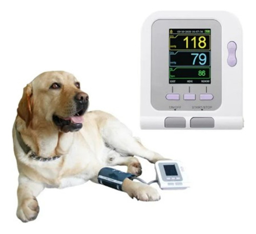 Esfigmomanómetro Digital Veterinario Para Perros Y Gatos