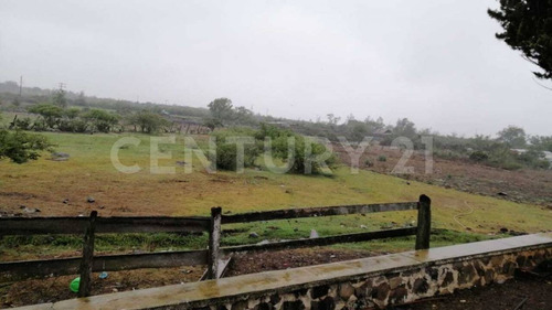 Imagen 14 de 24 de Se Vende Rancho En Hidalgo Para Inversionistas
