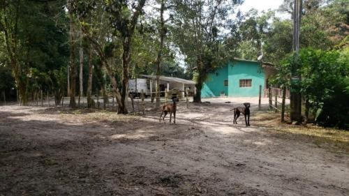 Imagem 5 de 14 de Chácara No Jd. São Fernando Em Itanhaém ,confira!! 8528