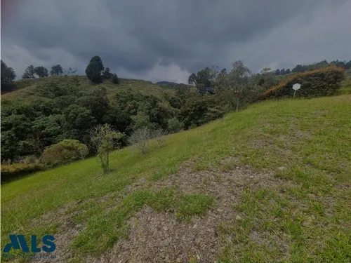 Lote En El Alto De Palmas, Precio De Oportunidad(mls#251547)