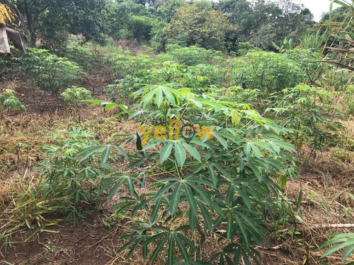 Imagem 8 de 18 de Terreno - Jardim Aracy - Te-1614