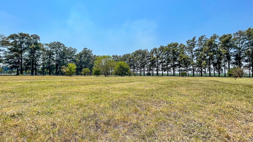 Venta! Terreno De 887 M2 En Azahares Del Paraná.