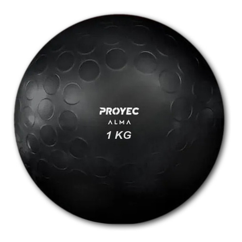 Imagen 1 de 6 de Alma Acqua Ball 16 Cm 1 Kg Esferodinamia Suiza Proyec Fitnes