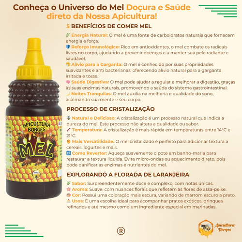 Mel de abelha 100% puro Apicultura Borges Natural florada Assa-Peixe Bisnaga 500g (350 ml)