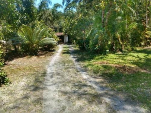 Imagem 25 de 28 de Chácara Com Piscina, Churrasqueira E Árvores Frutíferas, Em Itanhaém, No Jardim São Fernando Ref: 6054/ac