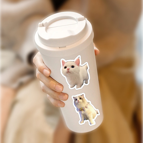 Pegatinas De Dibujos Animados De Gato Kawaii Para Niños Cal