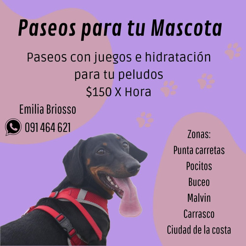 Paseador De Perros, Montevideo Y Ciudad De La Costa