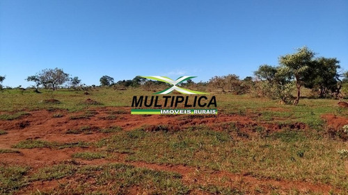 Imagem 2 de 2 de Fazenda Uberlândia, 271 Hectares, R$ 29.520,00 Por Hectare, Dupla Aptidão - 380