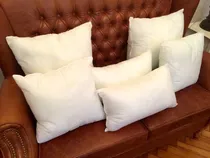 Comprar Rellenos De Almohadon De Vellón Siliconado En Cordoba 50x70