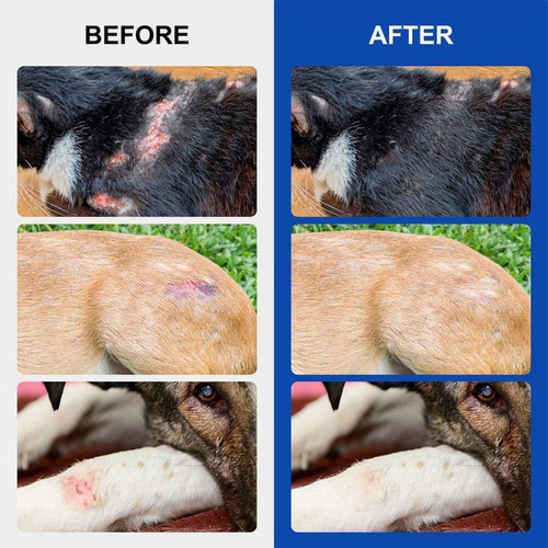 - Spray Cuidado Heridas Gato 30 Ml Uso Externo