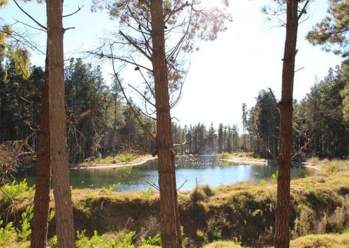 Imagen 3 de 15 de Venta - Lote Con Vista A Laguna En Villa Robles - Barrio Cerrado