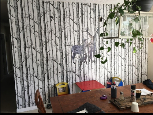Imagen 7 de 9 de Papel Tapiz Vinilico Decorativo Interiores Impermeable 10 M