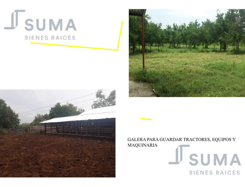 Rancho En Venta Sobre Carretera Tuxpan - Tampico, Ozuluama Veracruz