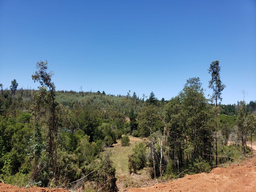 Imagen 2 de 13 de Parcelas Copiulemu Ruta 146 Km 27