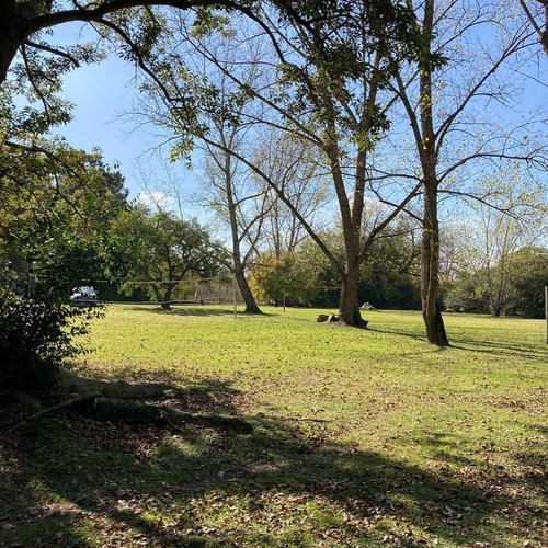 Imagen 9 de 15 de Lote En Arana En Venta De 2560 Mtrs .calle 636 Y 16 Con Hermosa Forestación