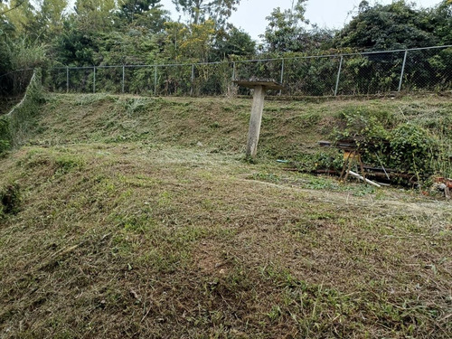 Imagen 12 de 16 de Terrenos En Venta