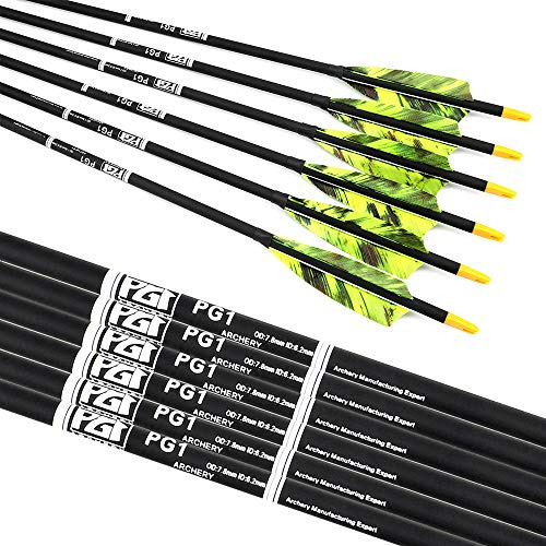 Flechas De Carbono De 30 Plumas De Pavo Y Extraibles 6un