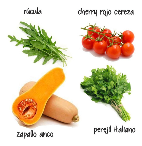 Super Combo Semillas! Huerta Primavera - Verano!