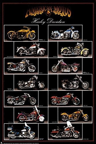 La Motocicleta, Harley Davidson Poster 24 X 36 Pulgadas.