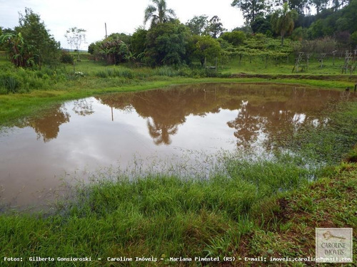 Imagem 1 de 15 de Sítio / Chácara Para Venda Em Mariana Pimentel, Outros - 1164_1-828276