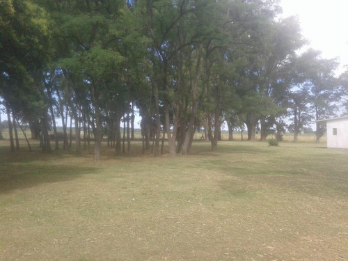 Imagen 11 de 18 de Venta Chacra 40 Hs Con Criadero De Cerdos En Las Flores.
