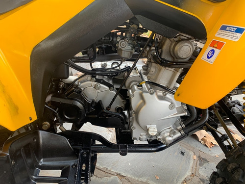 Imagen 10 de 12 de Can Am Ds 250
