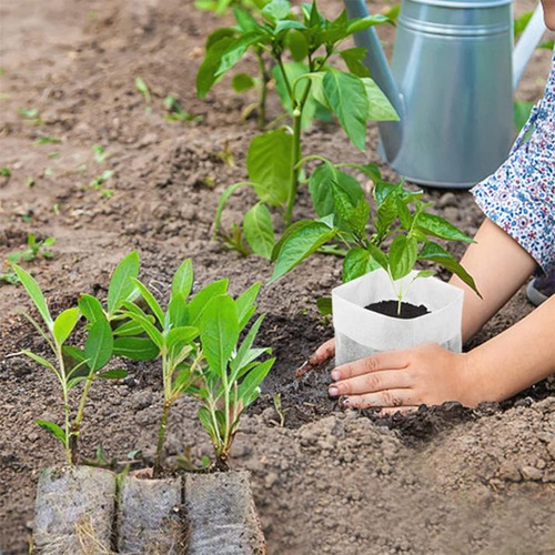500 Unidades De Sacos Biodegradáveis Para O Cultivo De Mudas