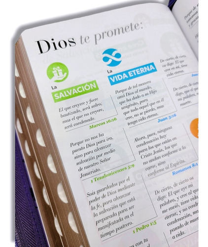 Imagen 8 de 9 de Biblia Rvr60 Letra Gigante 14pt Lila Mariposa Cierre Indices