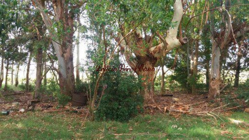 Imagen 5 de 8 de Venta Chacra En El Límite De Maldonado Y Lavalleja.