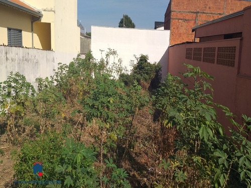 Imagem 4 de 4 de Terreno - Te00147 - 34155439