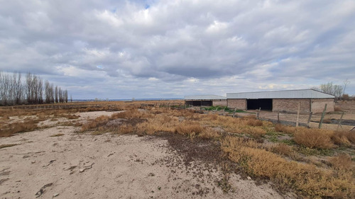 Venta Finca 51ha Con Dos Pozos Lujan