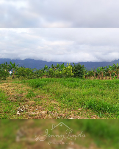 Imagen 10 de 14 de Se Vende Finca De 6,6 Has En Bejuma Carabobo