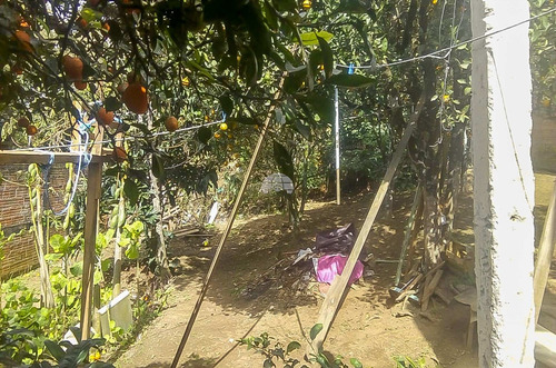 Imagem 9 de 20 de Terreno - Residencial - 934654