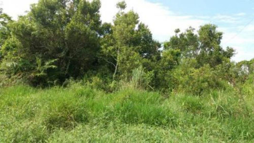 Vendo Terreno Próximo Da Rodovia Em Itanhaém Sp - 5051 | Npc