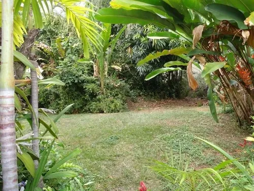 Terreno En Venta En Los Palos Grandes Jose Carrillo Mls #25-7934