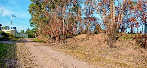 Imagem 6 de 15 de Terreno A Venda No Bairro Loteamento Colinas Verdes - Atibaia, Sp - 328