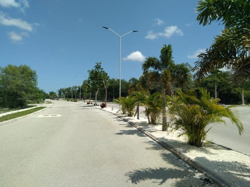 Imagen 15 de 27 de Venta Terreno Dzidzilche