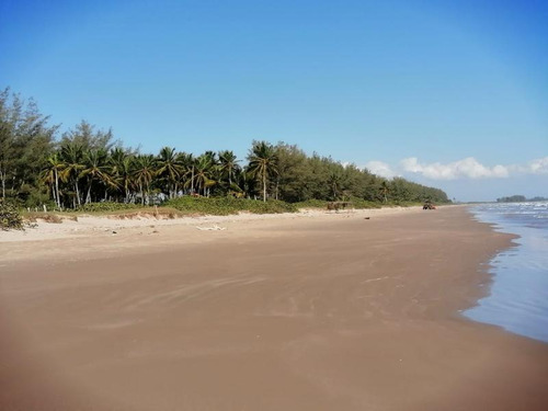 Venta Lotes 600 M² Playa De Barra Galindo Tamiahua Veracruz