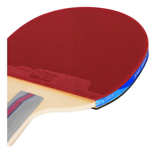 Raqueta de tenis de mesa DHS H3006 Classiceta
