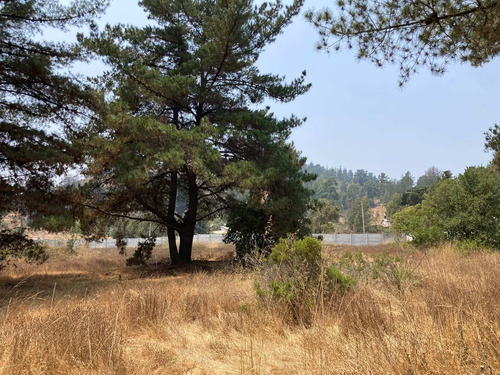 Imagen 4 de 5 de Paño Comercial En Los Pinos, Reñaca